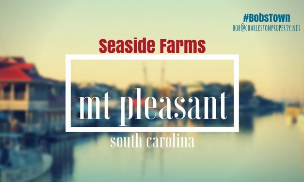 Mt. Pleasant, SC Driving Tour #31: Seaside Farms