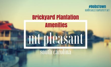 Mt. Pleasant, SC Driving Tour #49: Brickyard Plantation – Amenities