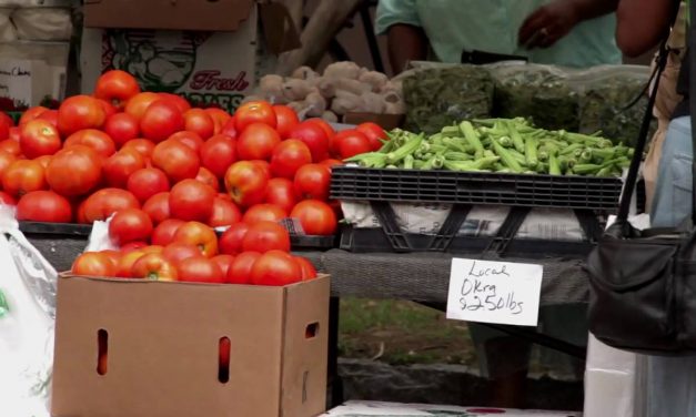 Charleston, SC Farmers Market –  Get Charleston Lifestyle Info.