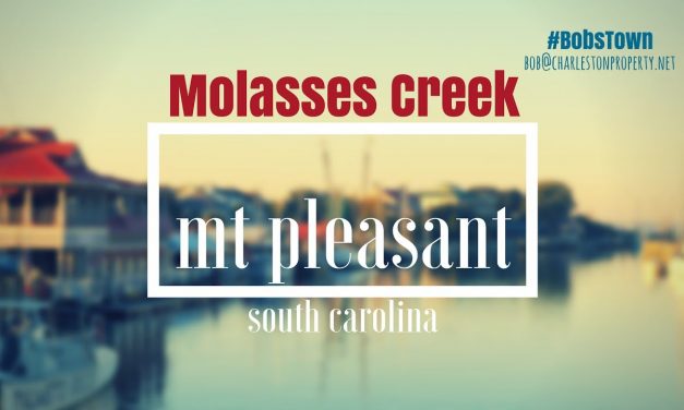 Mt. Pleasant, SC Driving Tour #132: Molasses Creek