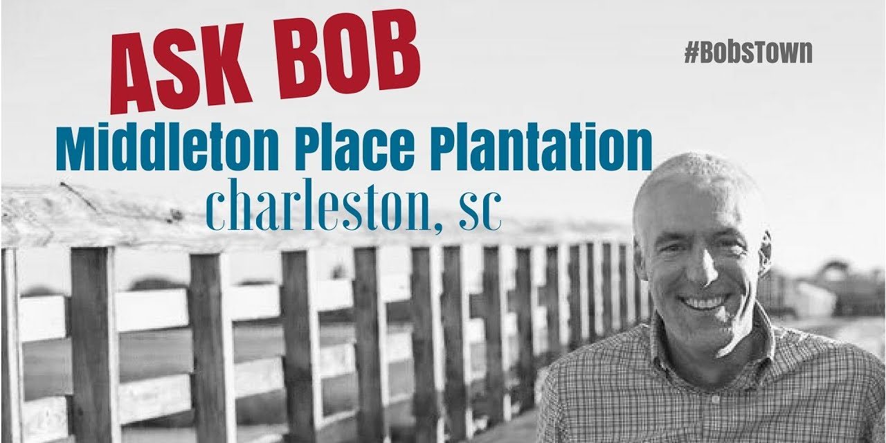 Middleton Place Plantation – “Ask Bob”