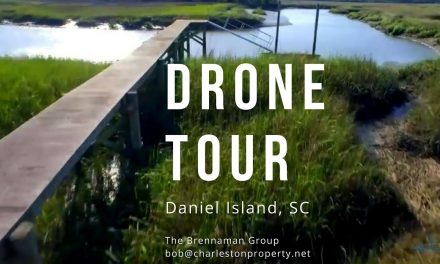 Lot Aerial Tours Set 3 – Daniel Island Property