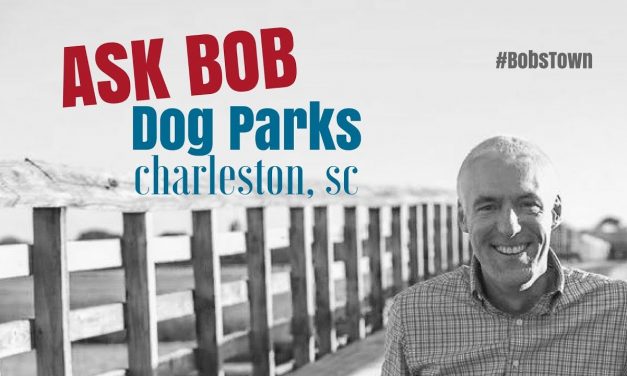 Dog Parks in Charleston, SC – “Ask Bob”