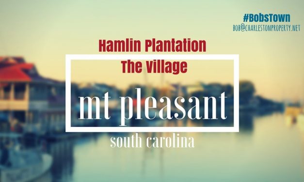 Mt. Pleasant, SC Driving Tour #46: Hamlin Plantation – The Village