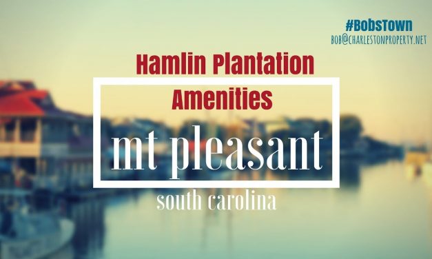 Mt. Pleasant, SC Driving Tour #43: Hamlin Plantation – Amenities