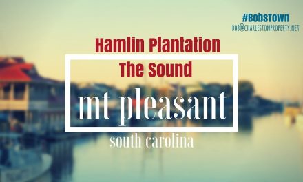 Mt. Pleasant, SC Driving Tour #44: Hamlin Plantation – The Sound