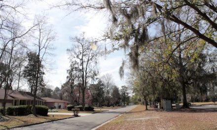 West Ashley Real Estate Tour – Charleston, SC Suburb