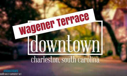 Wagener Terrace, Charleston, SC (Downtown Series Episode 6) – Walking Real Estate Tour