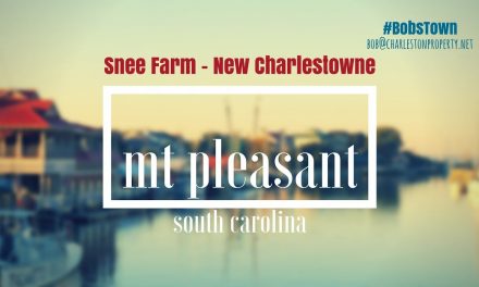 Mt. Pleasant, SC Driving Tour #61: Snee Farm – New Charlestowne