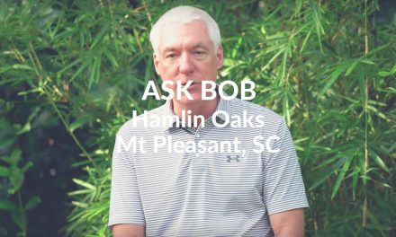 Ask Bob:   Hamlin Oaks – Mt. Pleasant SC