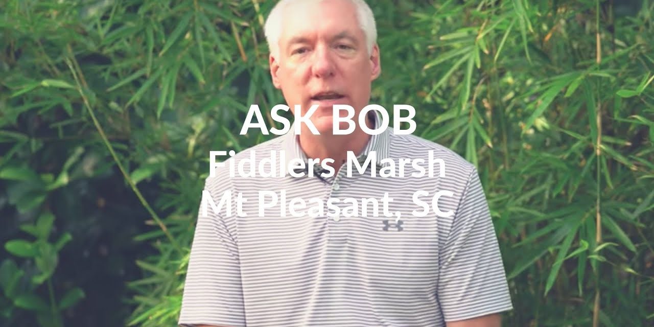 Ask Bob:  Fiddlers Marsh – Mt. Pleasant SC