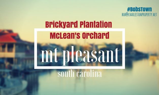 Mt. Pleasant, SC Driving Tour #54: Brickyard Plantation – McLean’s Orchard